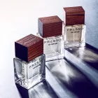 Parfum de voiture FRESSO Magnetic Style (50 ml)